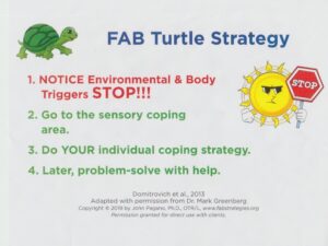 The FAB Turtle Strategy teaches students to avoid aggression